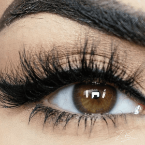 PM Lashes - Zhila Beauty